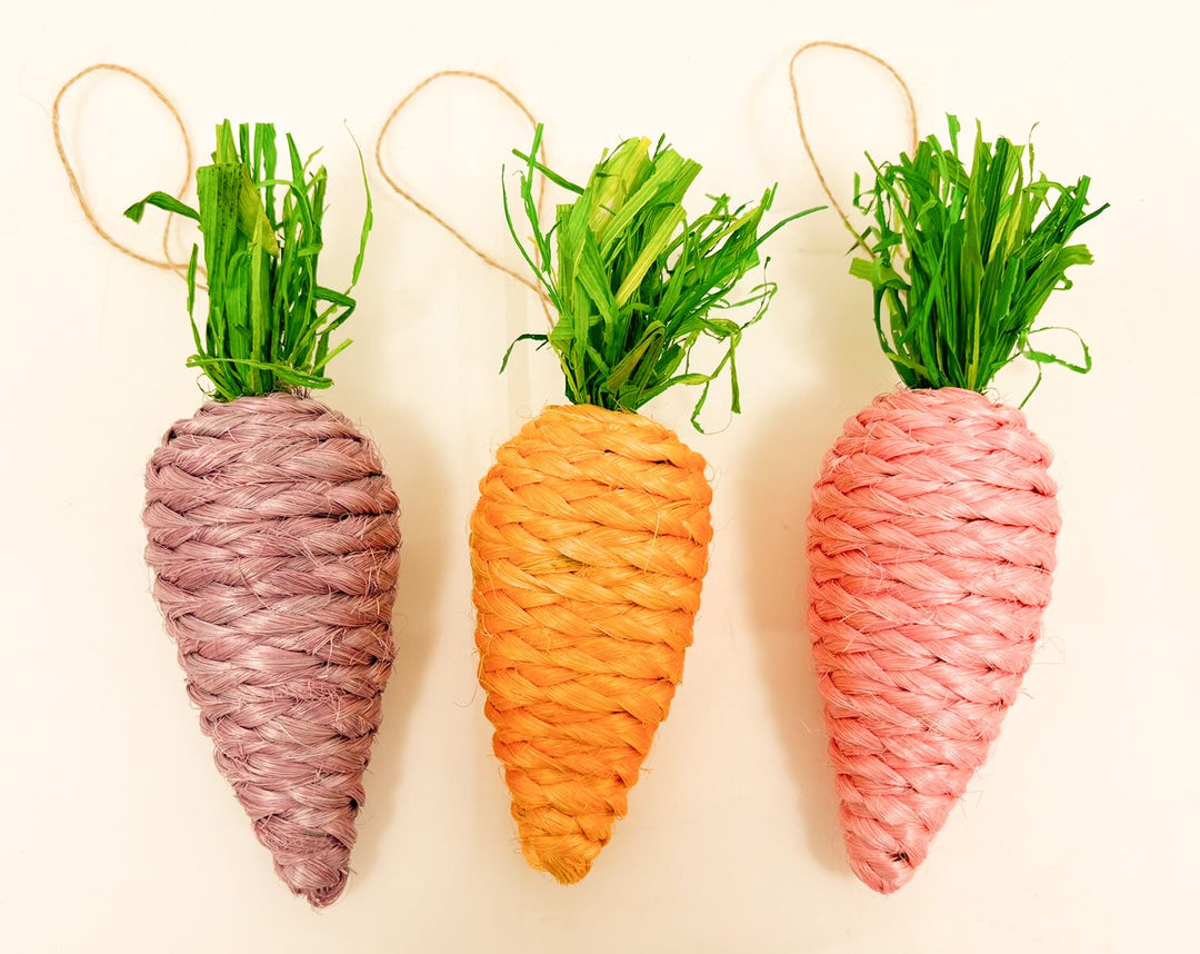 PASTEL CARROT HANGER 3 ASSORTED