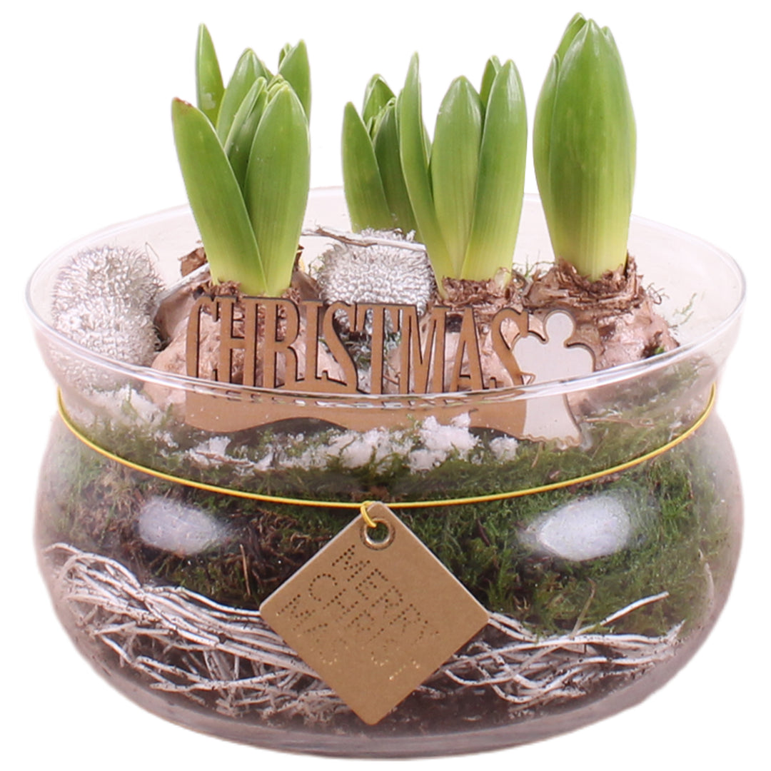 Arr.Hyacint Glass Bowl with Rope Ø20cm 5PP