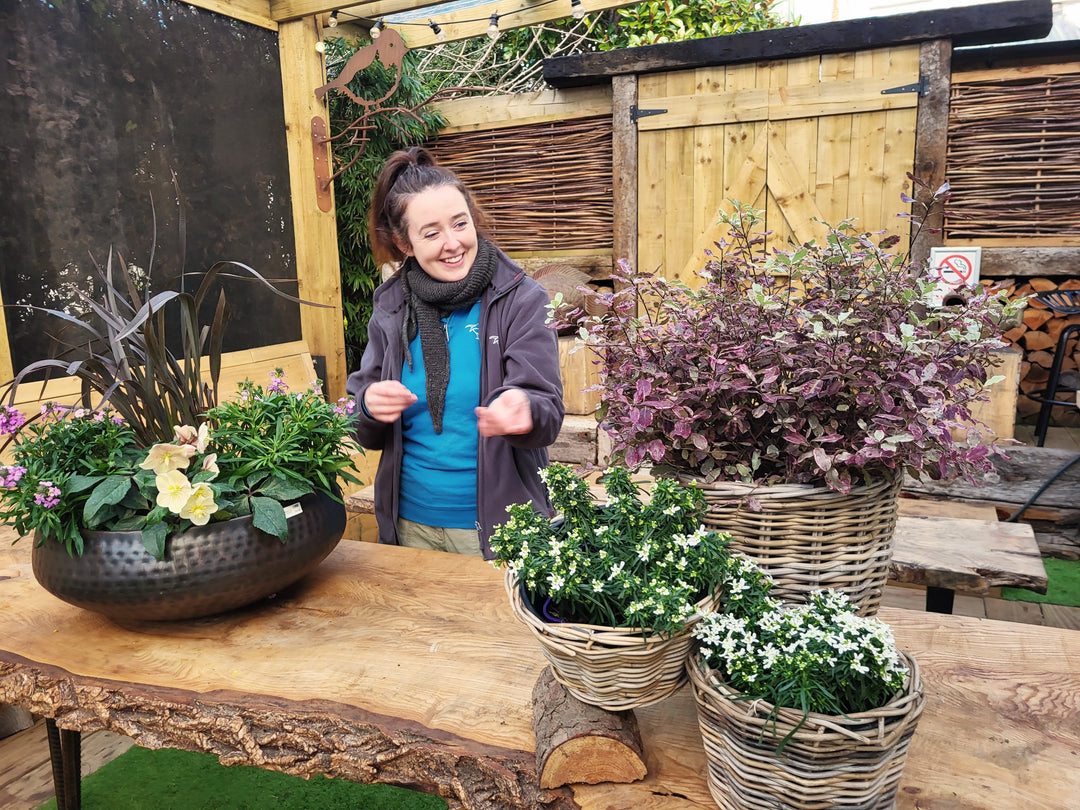 Windyridge Gardening for Beginners 2026 Tuesday Morning 10am (6 Week Course starts 3rd March)