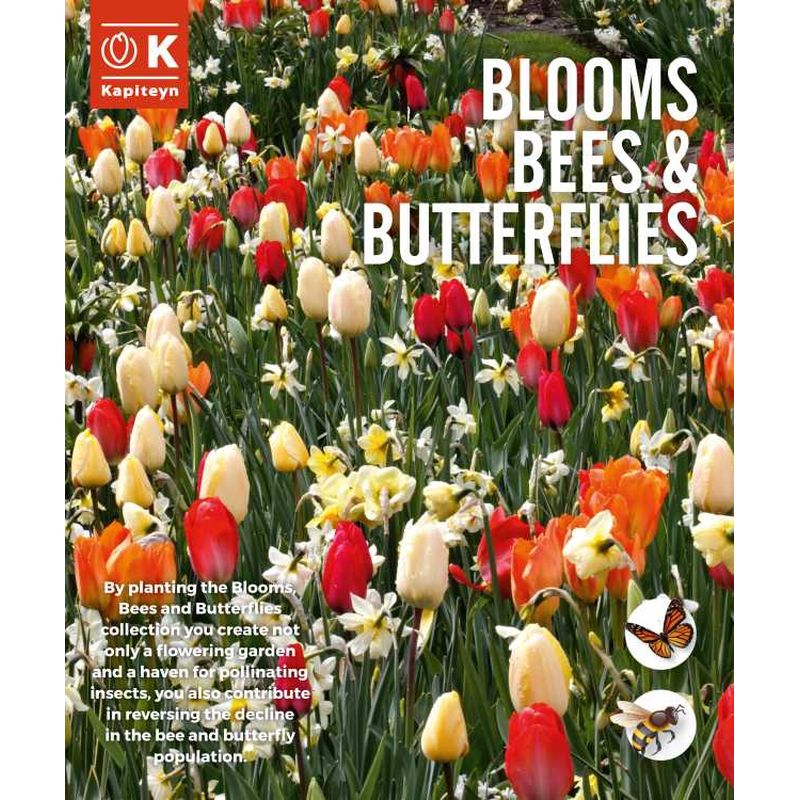 BLOOMS, BEES & BUTTERFLIES SUNSHINE SHADES x 15