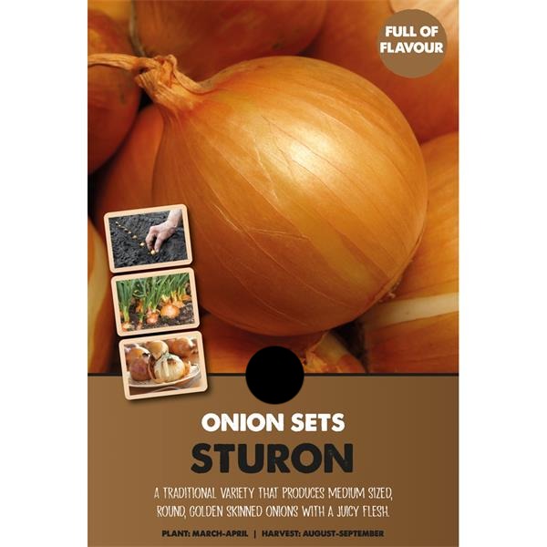 ONION SETS STURON BIO x 80
