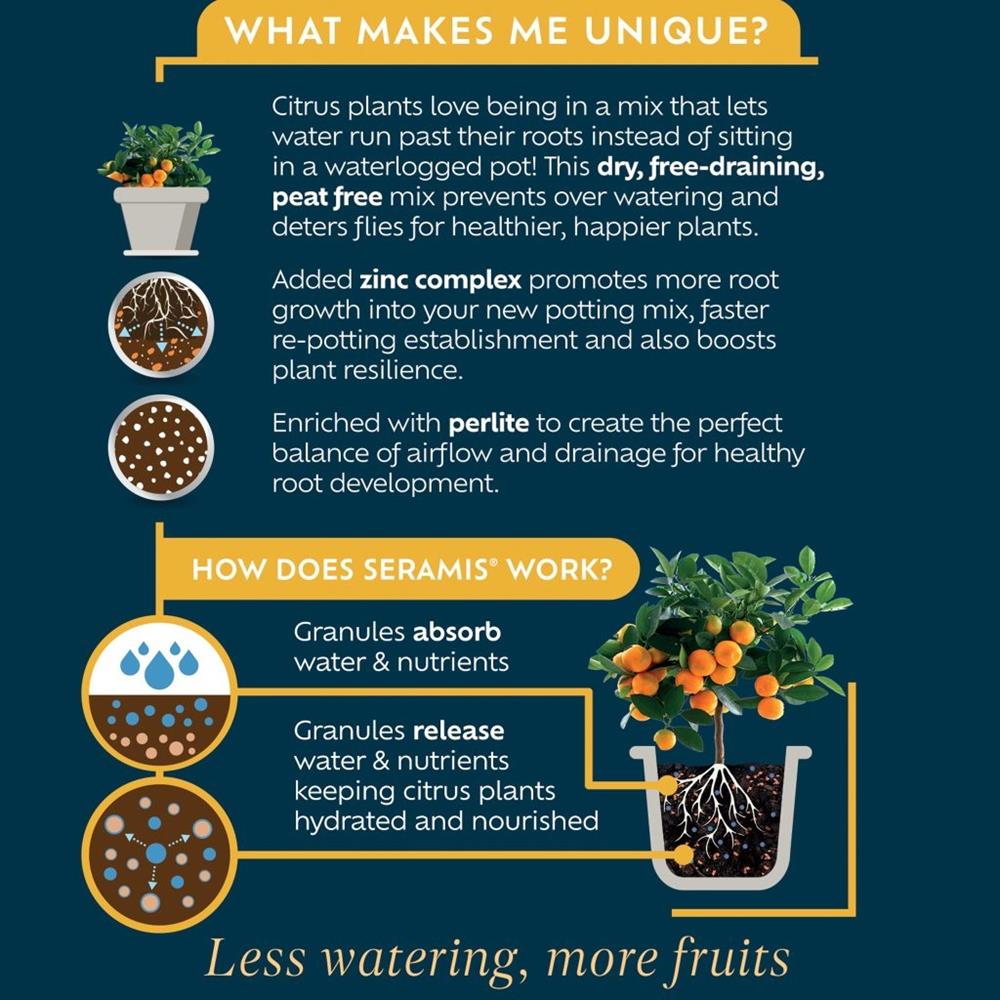 Westland Citrus Potting Mix 10L