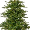 Grandis fir gb Micro LED indoor green/warm white 7ft 210cm