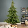 Grandis fir gb Micro LED indoor green/warm white 7ft 210cm