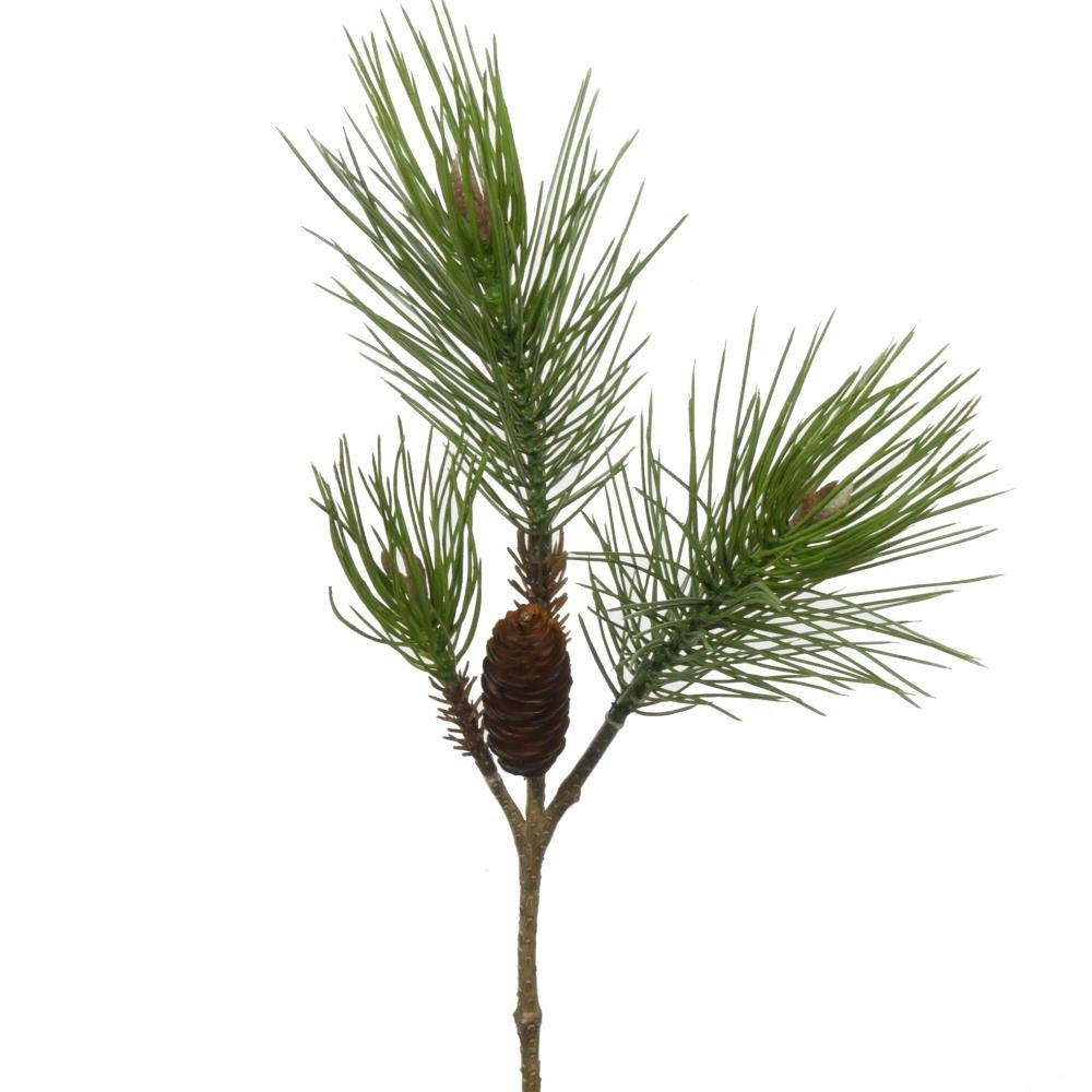 Pinus +Cone L59cm Green
