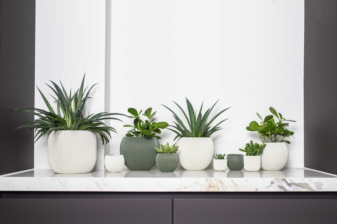 Vase ball Groove Ø12 x 10cm Green