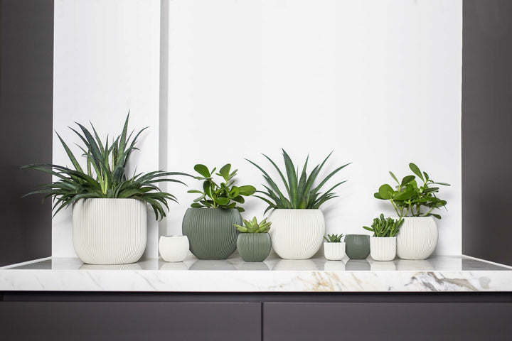 Vase ball Groove Ø12 x 10cm Green