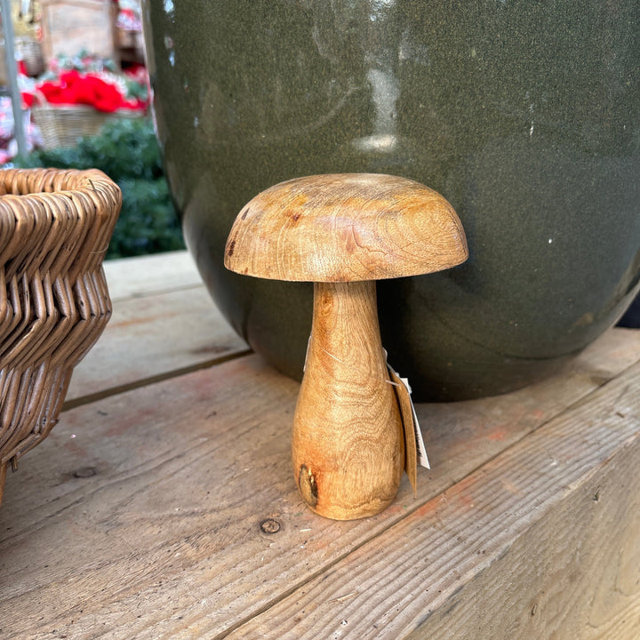 Mushroom Wood Dost (15x9x9cm)