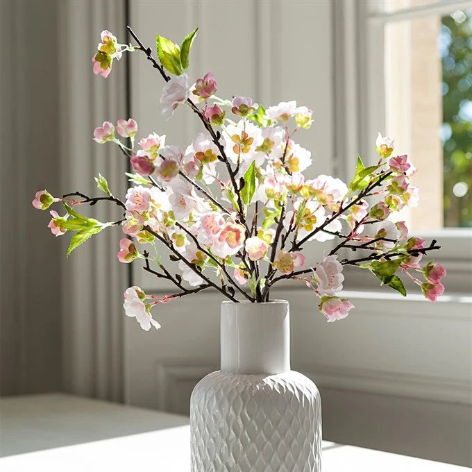 Pink Blossom in Geometric Bottle