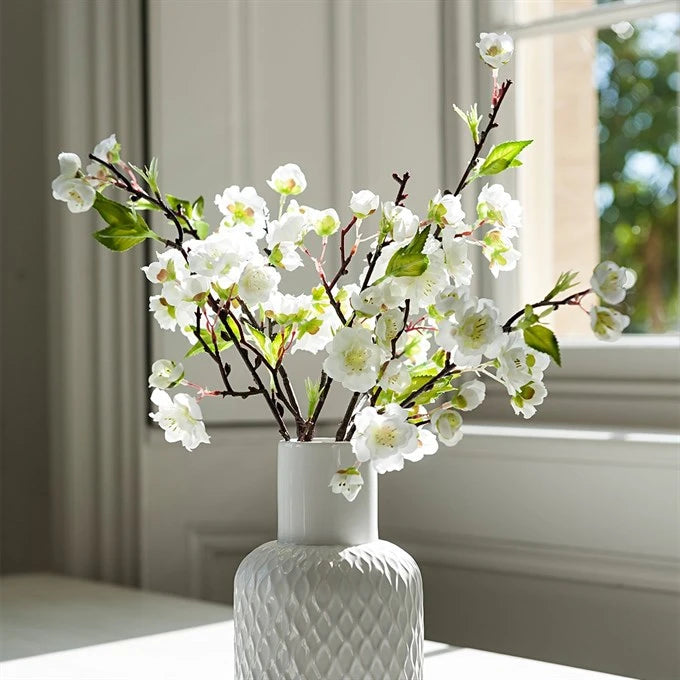 White Blossom in Geometric Bottle