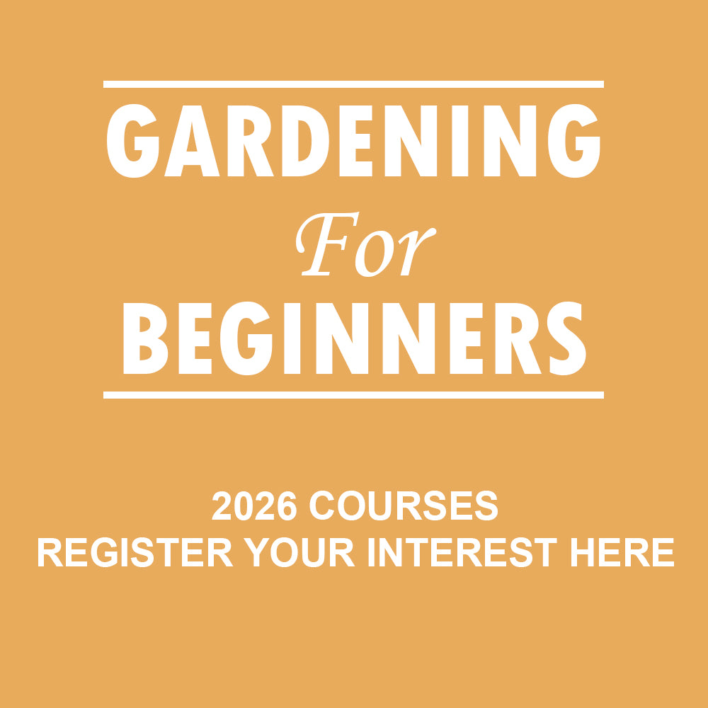 Windyridge Gardening for Beginners 2026 Tuesday Morning 10am (6 Week Course starts 3rd March)