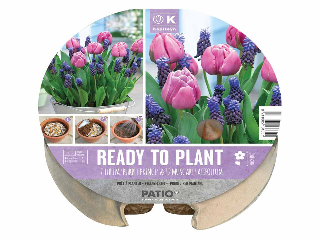 PLANT-O-MAT TULIPA & MUSCARI X 19