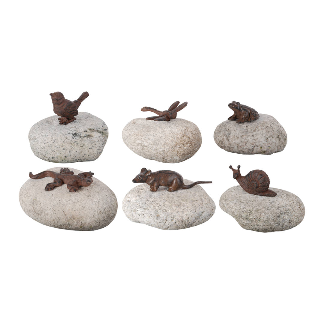 Animals on rocks