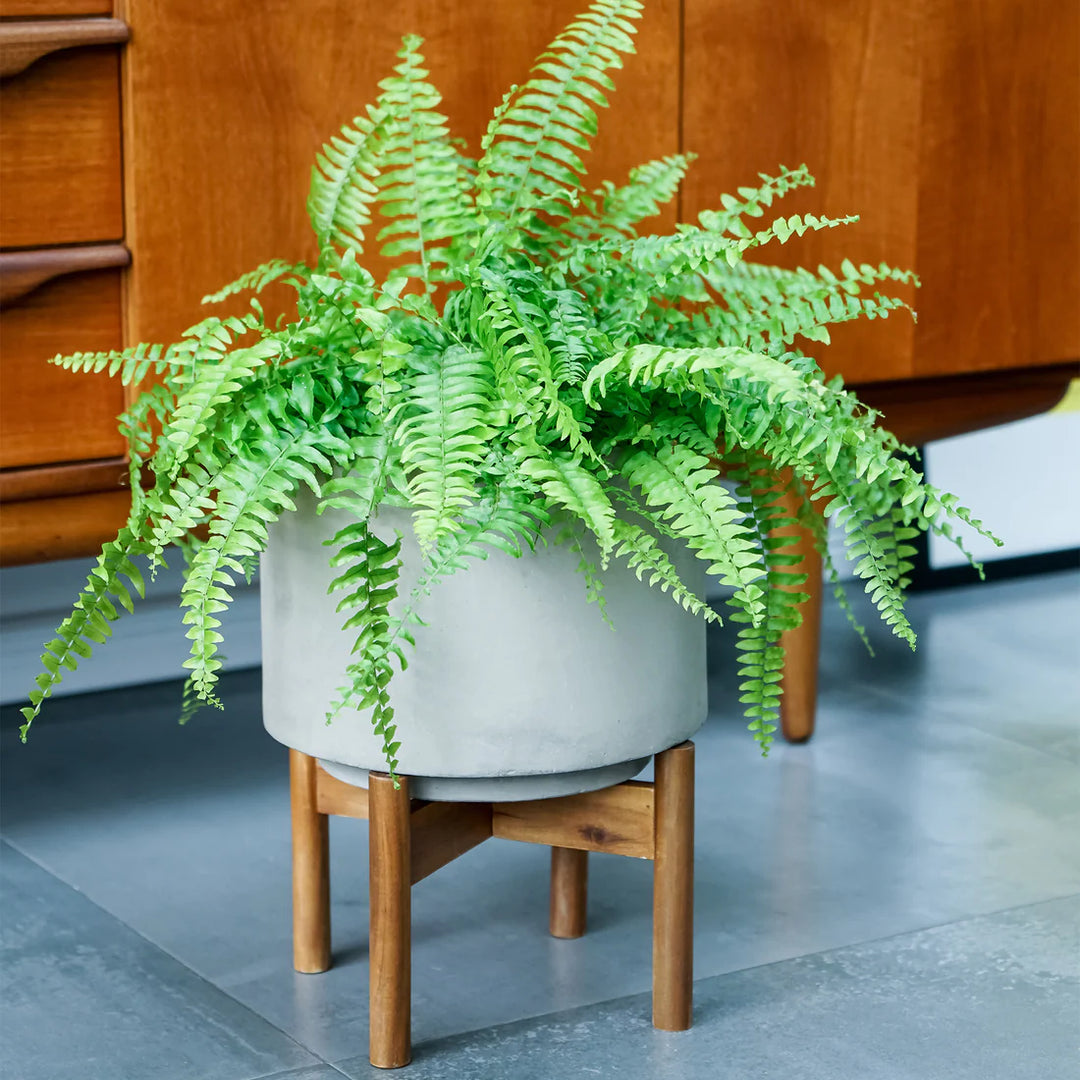 vigo concrete grey Planter with stand Ø22cm