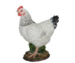 Black/White Summer Hen D