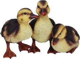 RL Duckling Group D