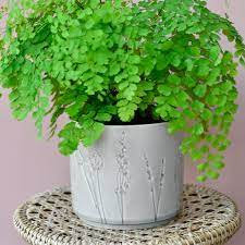 Provence Pot Grey Sml