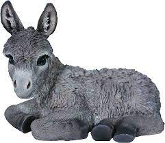 NF Baby Laying Donkey