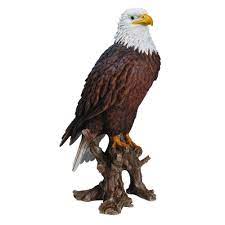 RL American Bald Eagle B x 1