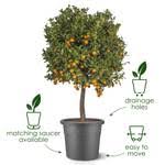 Algarve Cilindro Anthracite Ø48cm