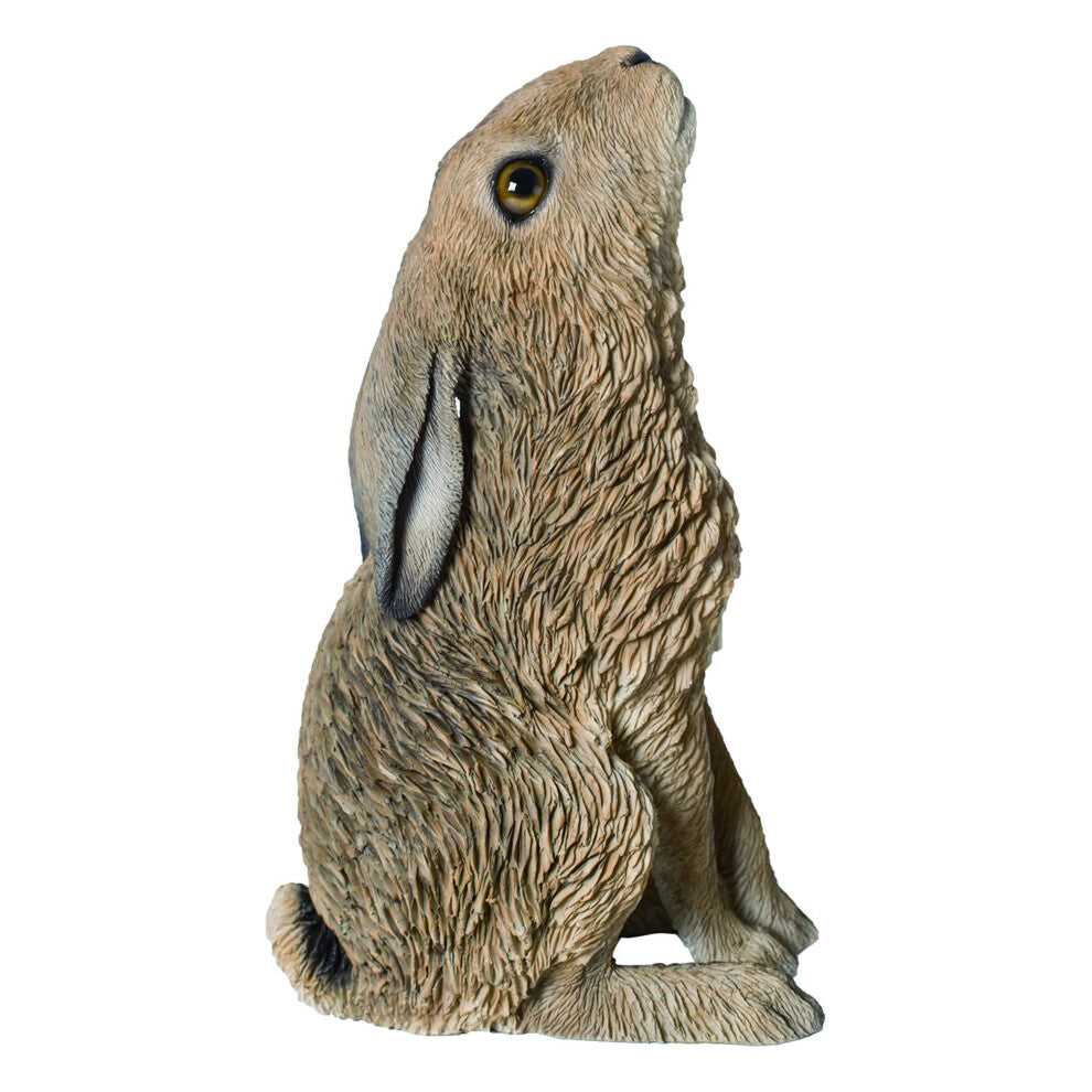 RL Moon Gazing Hare Small D Box/2