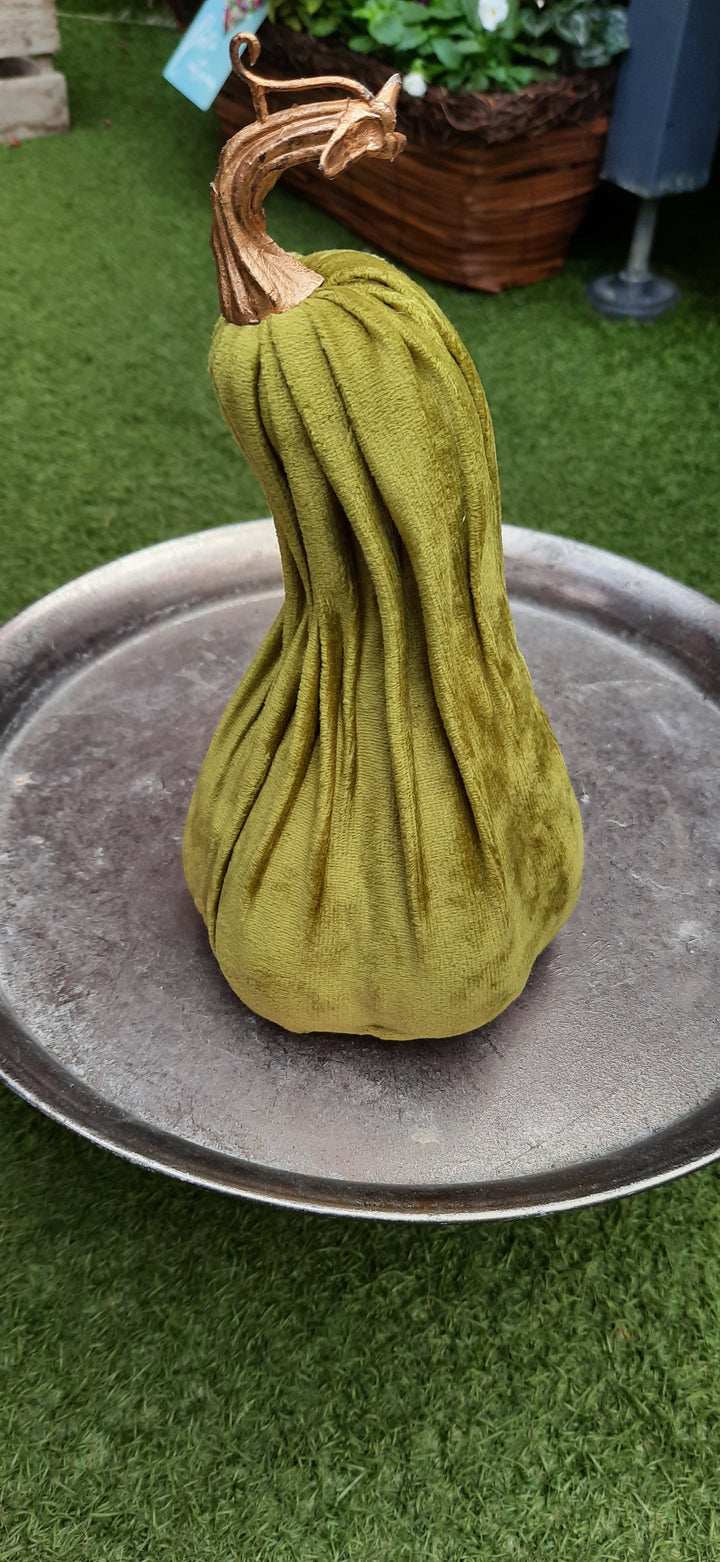 11X21CM Crooked Neck GREEN Pumpkin