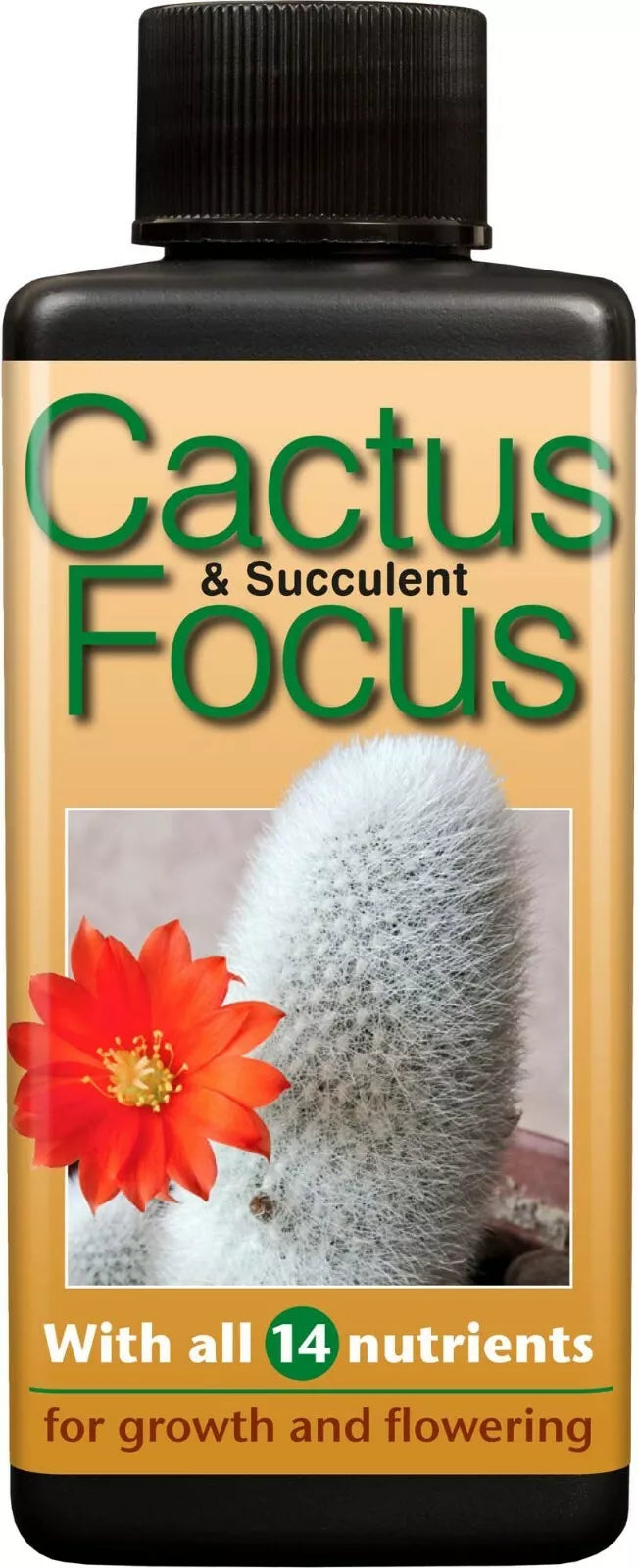 Cactus focus