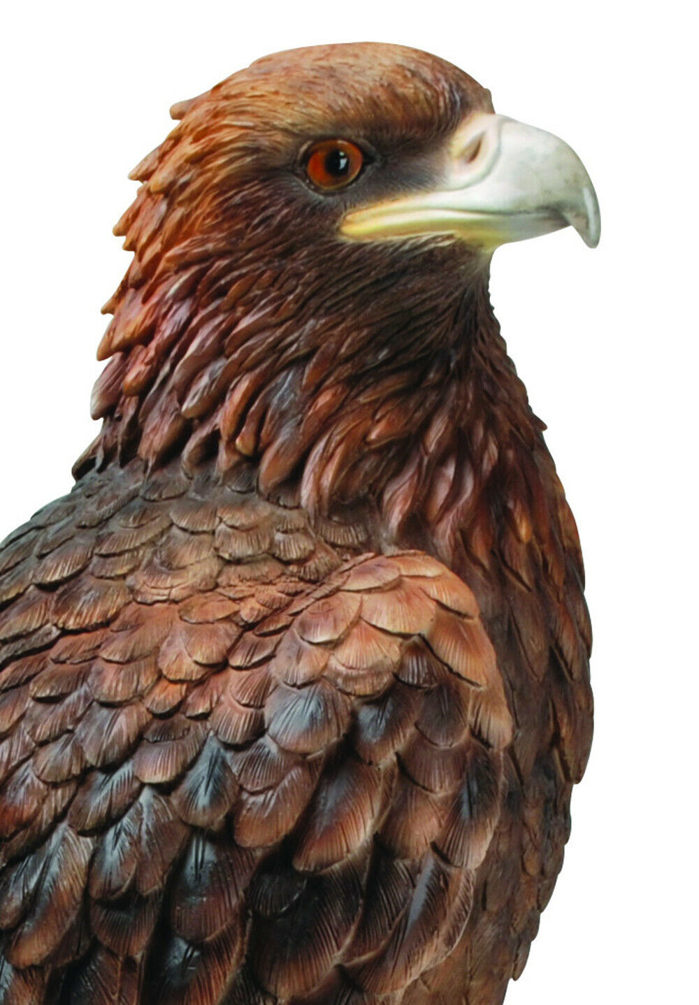 RL Golden Eagle B x 1