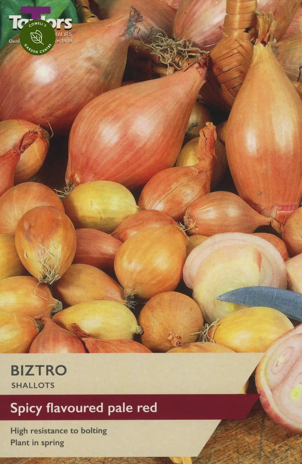 PRE-PACKED BIZTRO SHALLOTS 12