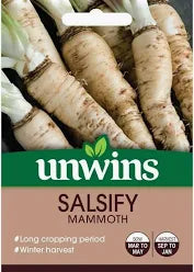 Salsify Mammoth