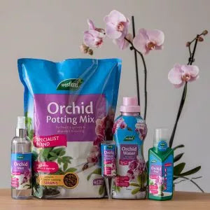 Orchid Potting Mix (Enriched with Seramis)