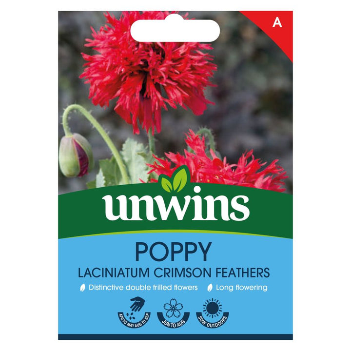 Poppy(laciniatum)CrimsnFeathrs