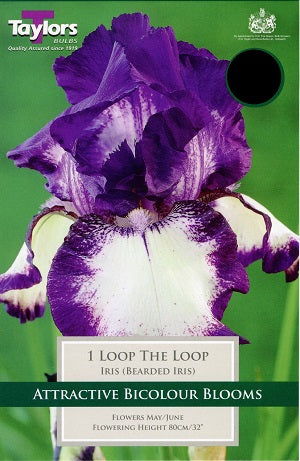 IRIS LOOP THE LOOP X 1