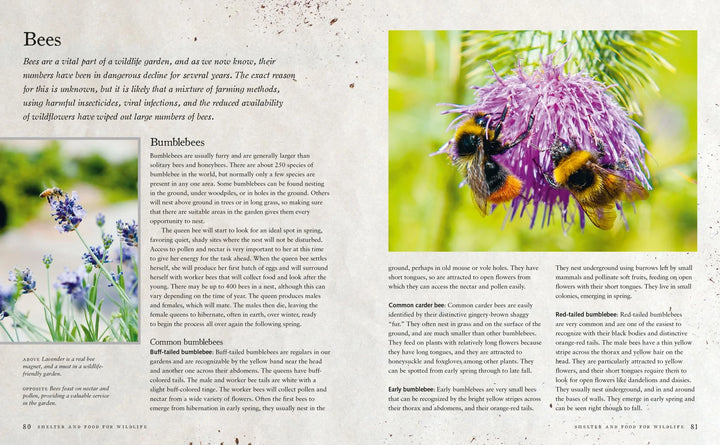 Urban Wildlife Gardener