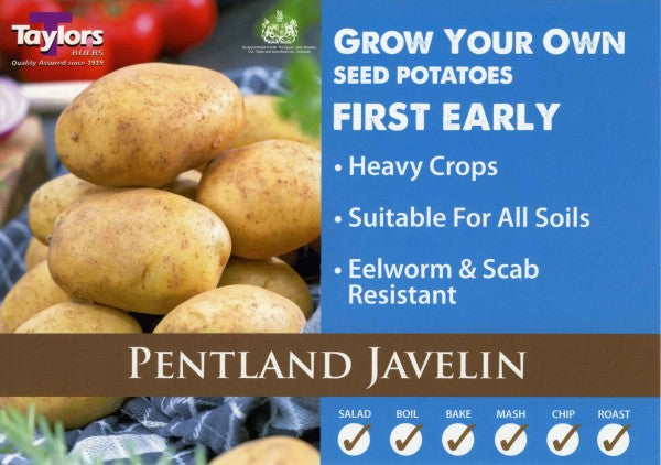 Seed Potato PENTLAND JAVELIN