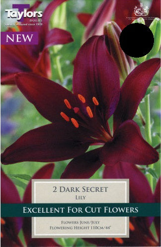 LILY DARK SECRET X 3