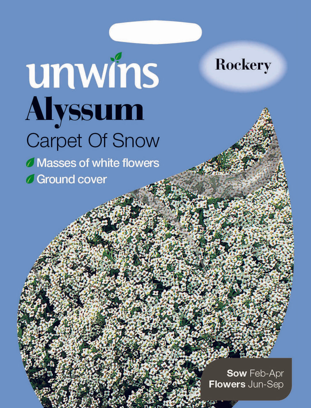 Alyssum Carpet Of Snow