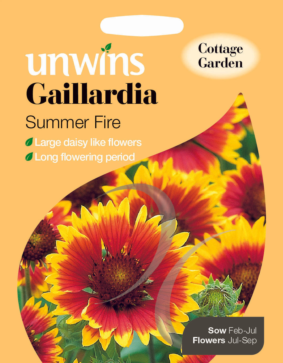 Gaillardia Summer Fire