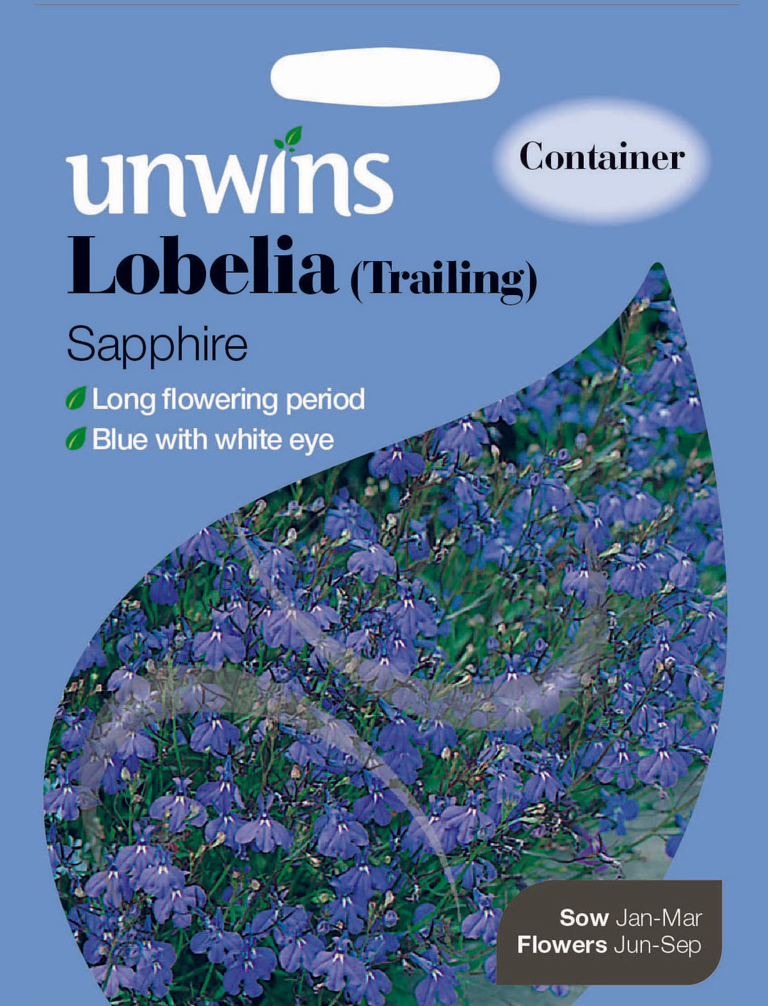 Lobelia Trailing Sapphire