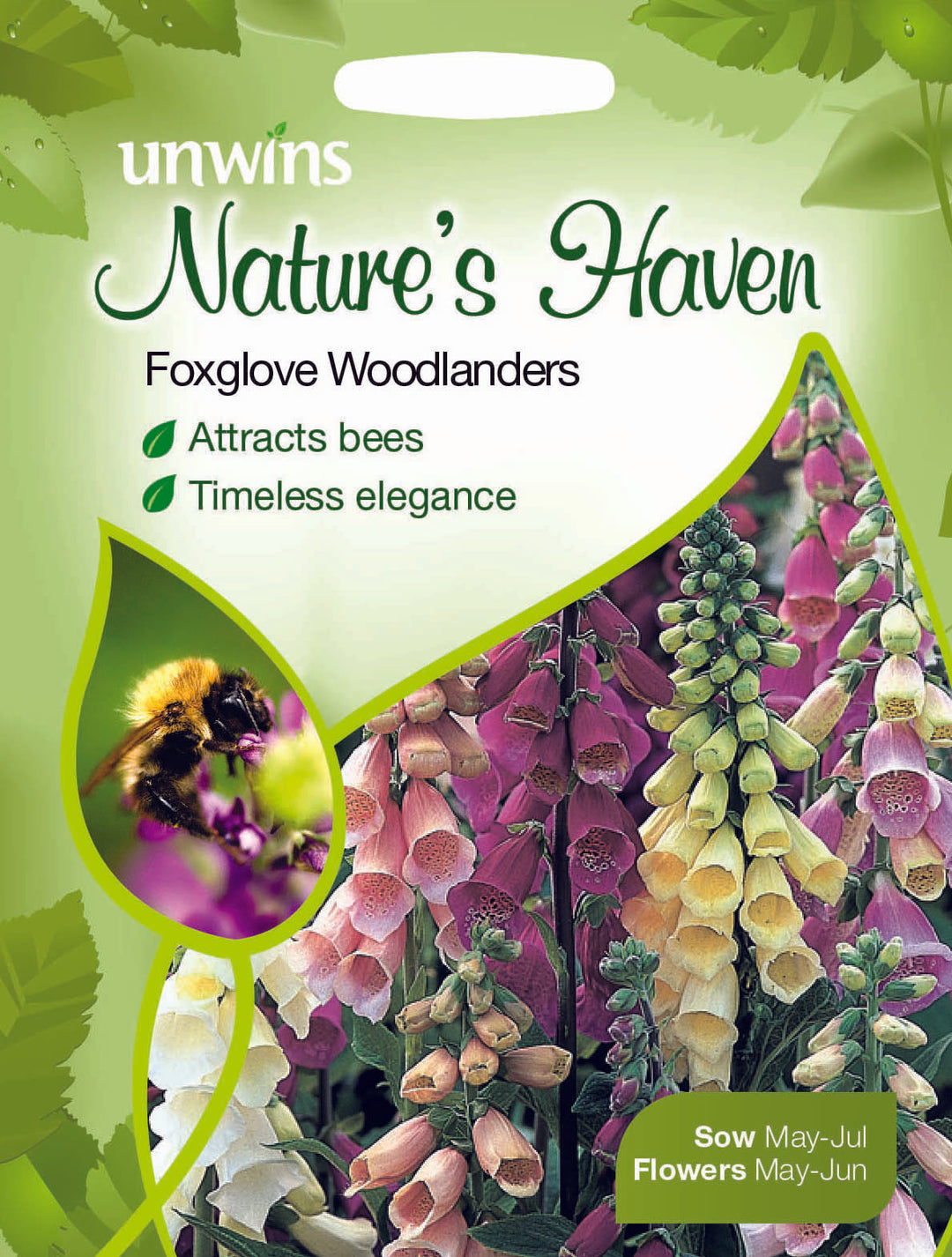 NH Foxglove Woodlanders