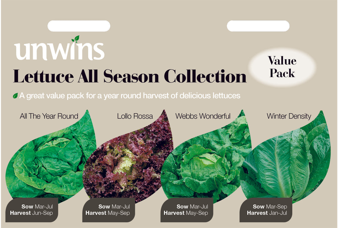 Lettuce All Season Collection