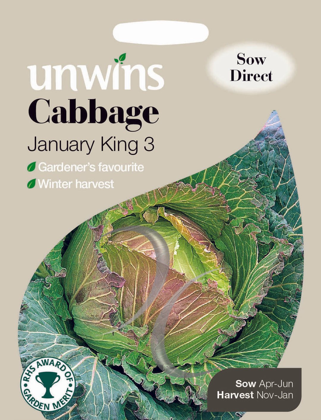 Cabbage January King 3