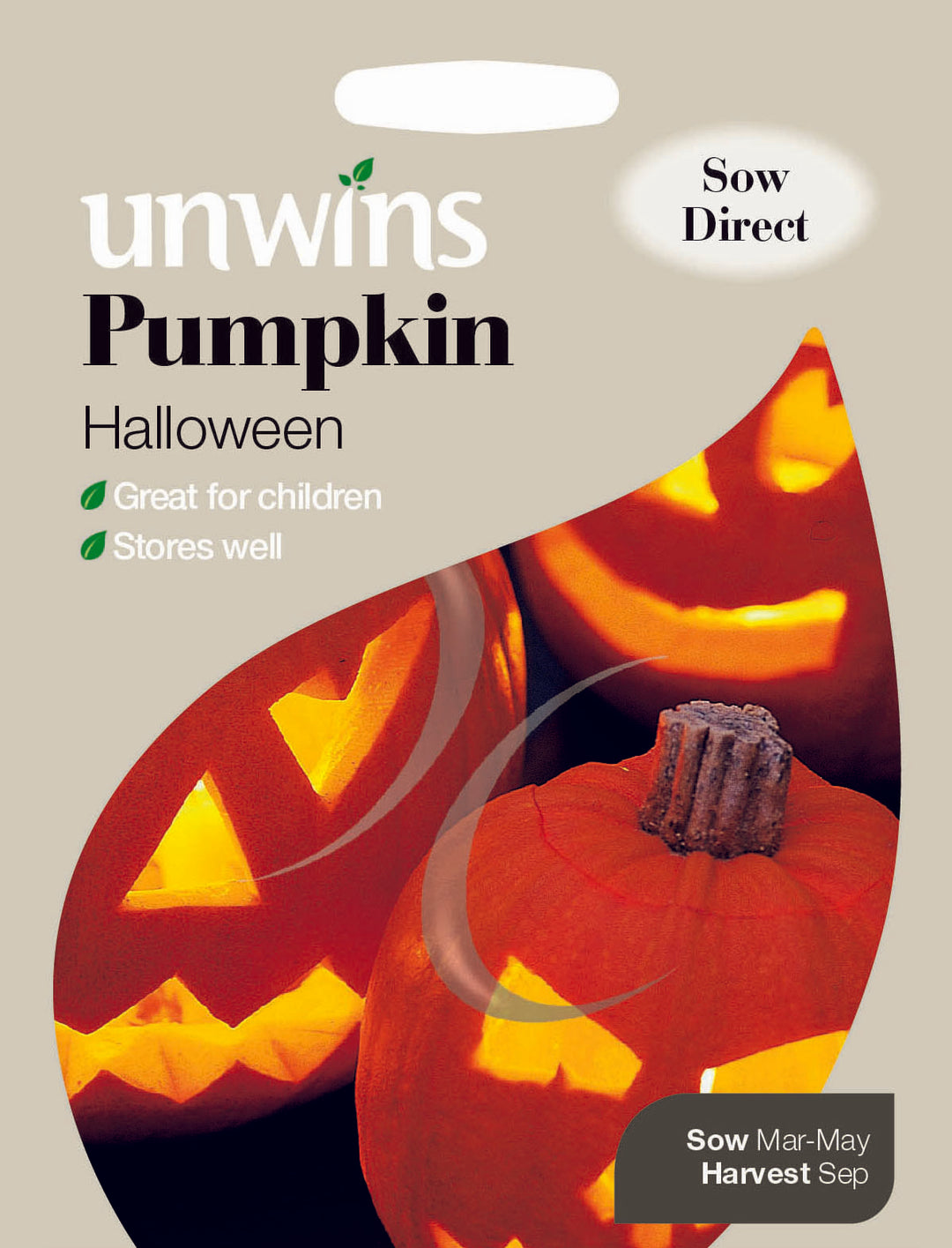 Pumpkin Halloween