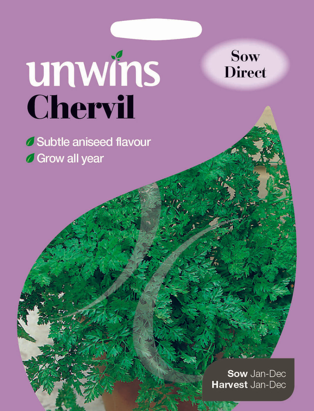 Herb Chervil