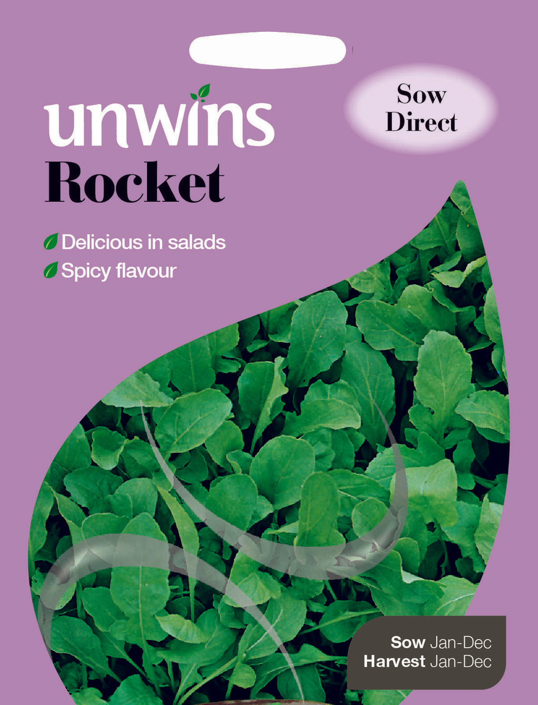 Herb Rocket