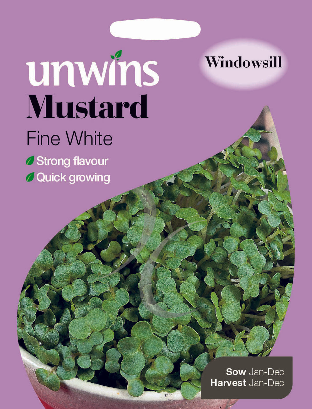 Herb Mustard Fine White