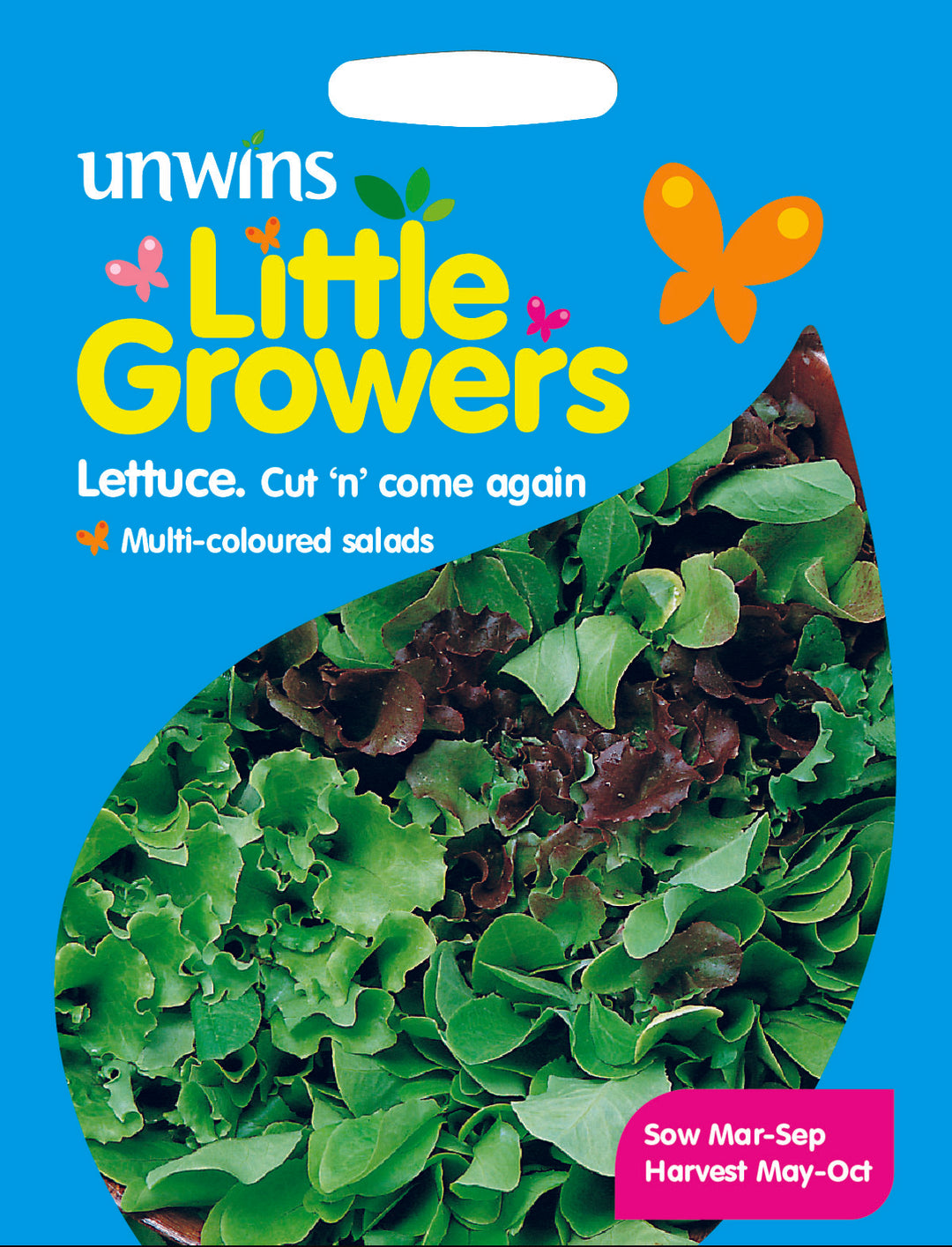 Little Growers Lettuce Cut n come again