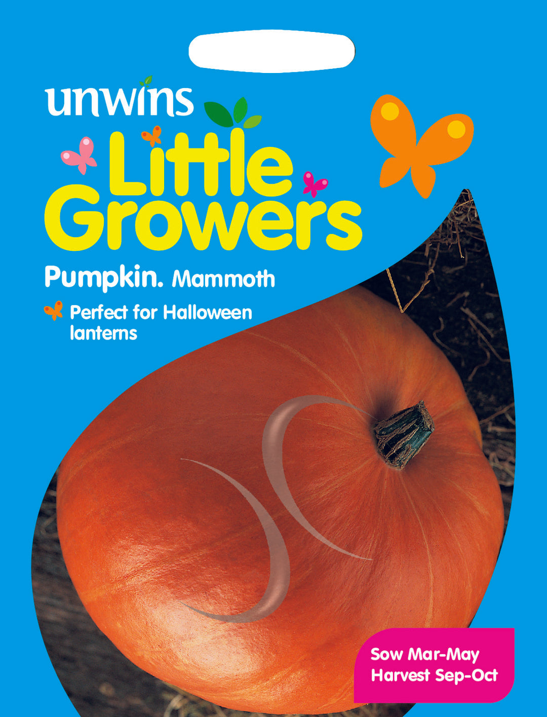 Little Growers Pumpkin Mammoth