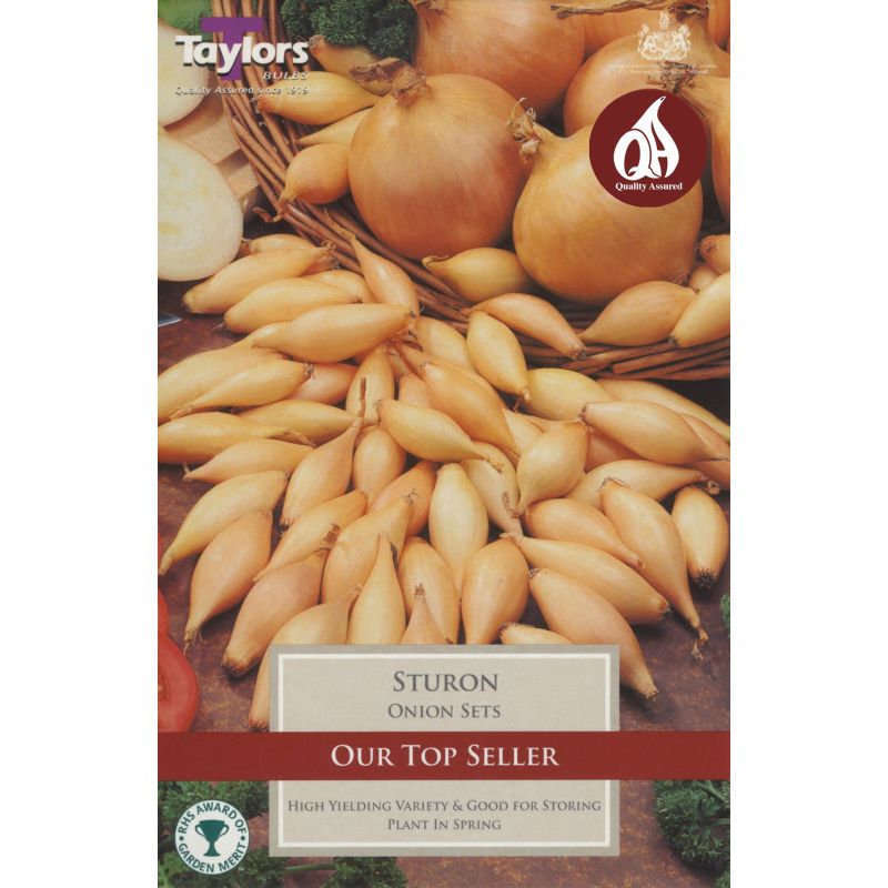 PRE-PACKED ONION STURON 50