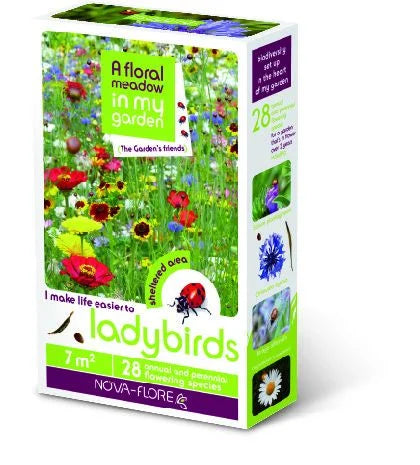 A Floral Meadow - LADYBIRDS 30sqm FLOWERS